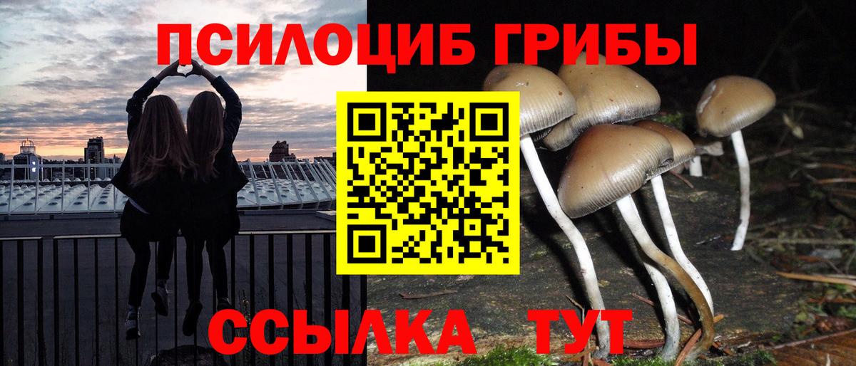 Псилоцибиновые грибы мицелий  Вход с VPN  Псилоцибиновые грибы ЛСД  Волгоград 